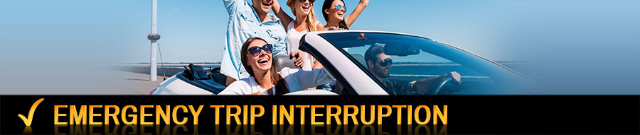 Emergency trip interruption Emergency trip interruption